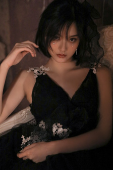 凡赫辛2